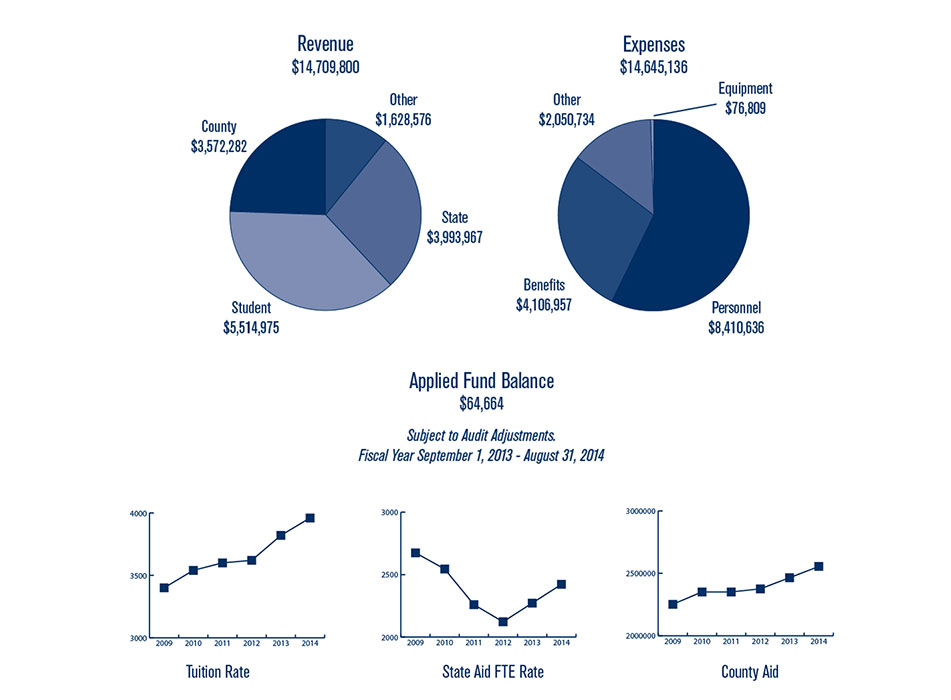 Revenue and Expense Graph