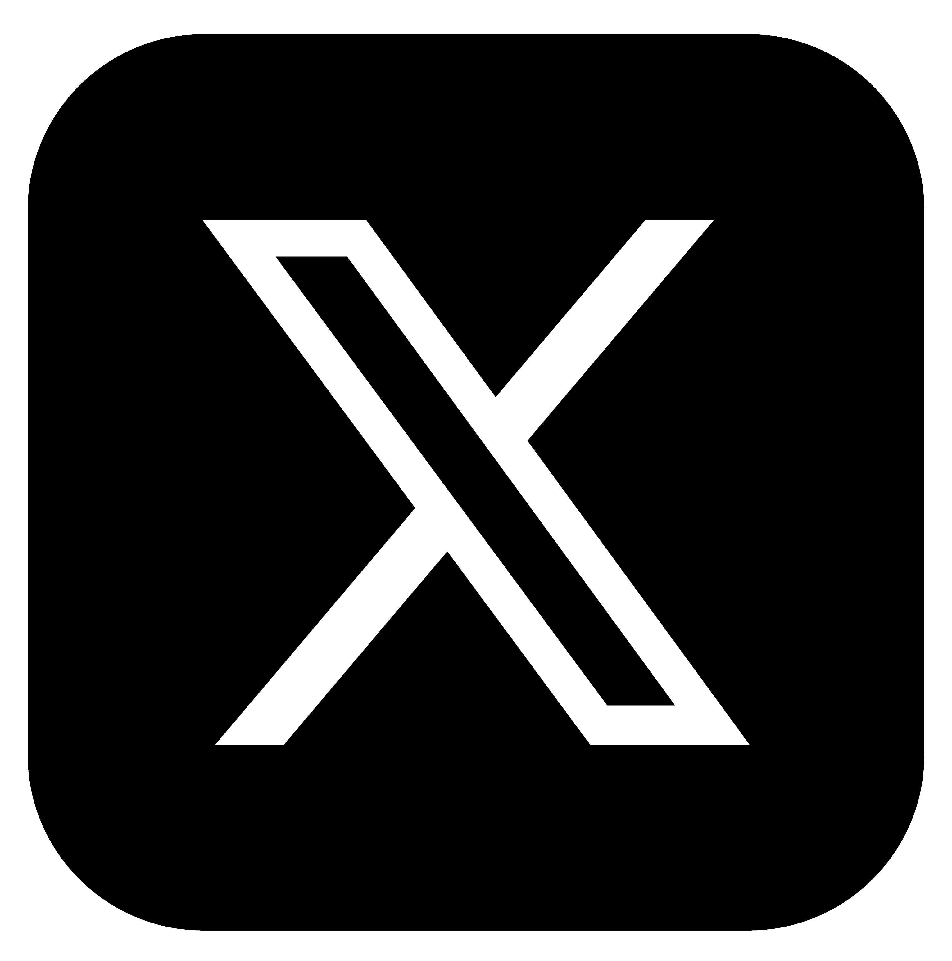 X Icon