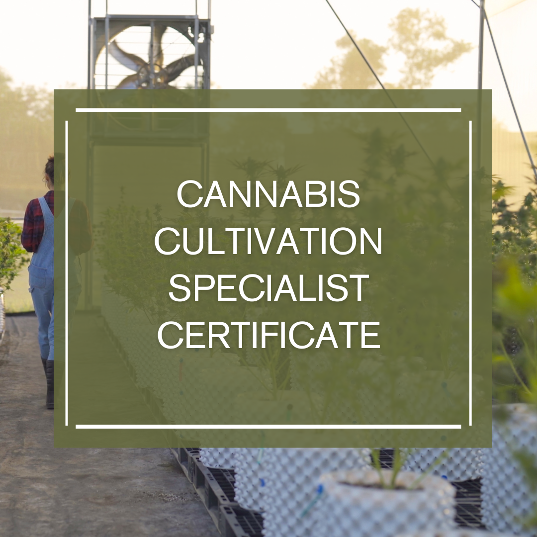 Cannabis Cultivation Specialist square